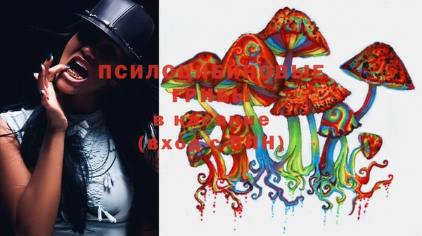 гидропоника Арсеньев